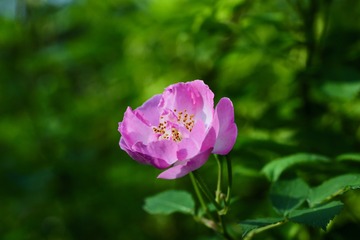 20180427 - 9