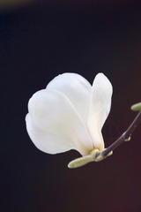 20180321 - 60