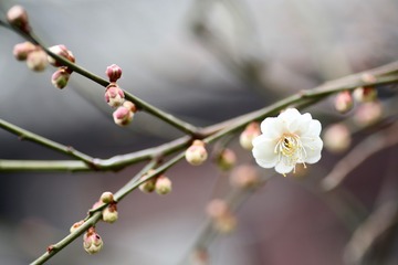 20180228 - 4