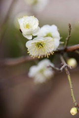 20190306 - 14
