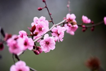 20180321 - 35