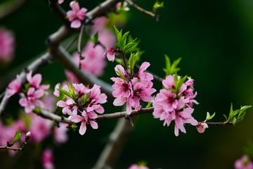 20180331 - 22
