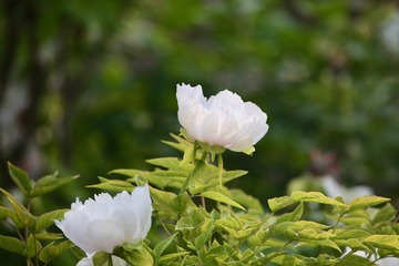 20180417 - 4