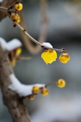 20180128 - 16