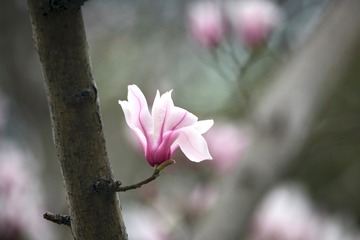 20180321 - 3