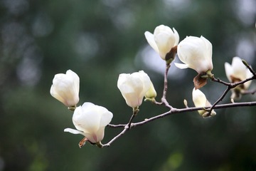 20180321 - 18