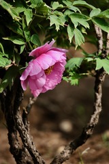 20190412 - 47