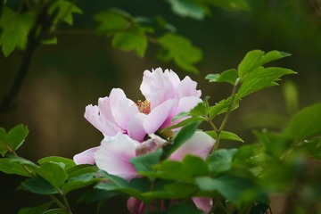 20180419 - 7