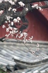 20180321 - 56