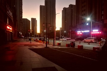 2135594