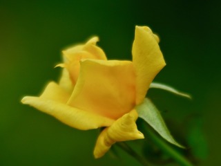 1915640