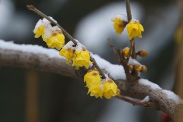 20180128 - 24