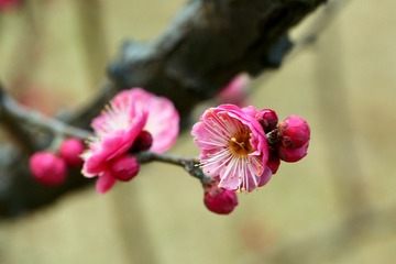 IMG_20190227_200430