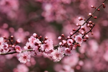 20180326 - 53
