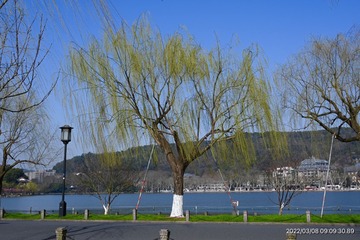 42EAEADC-4F9D-4553-8714-052F90C0C86C/L0/001