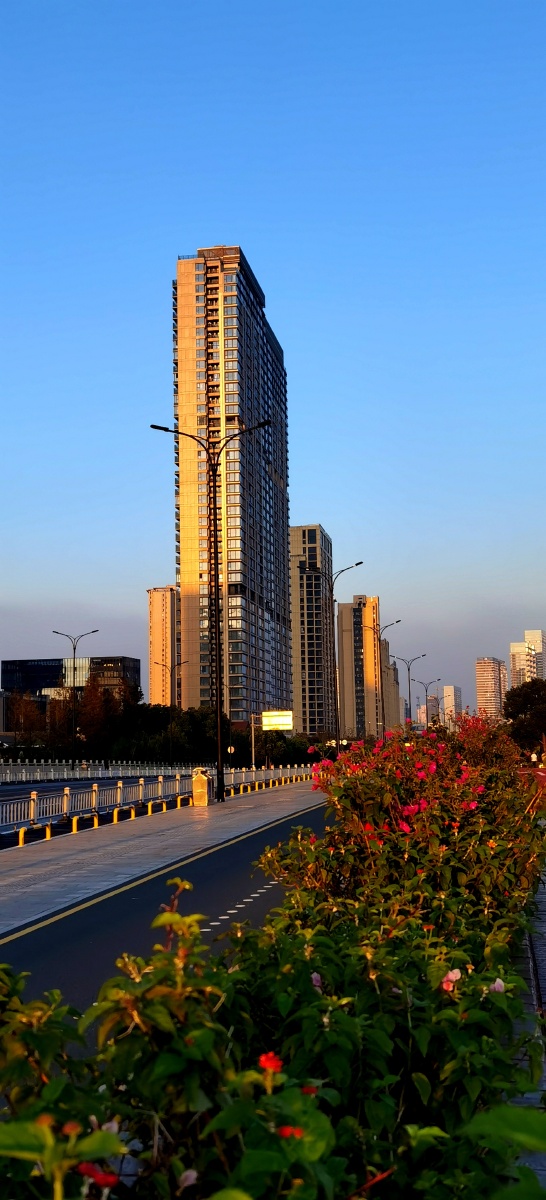 全国卫生模范城市温州街景