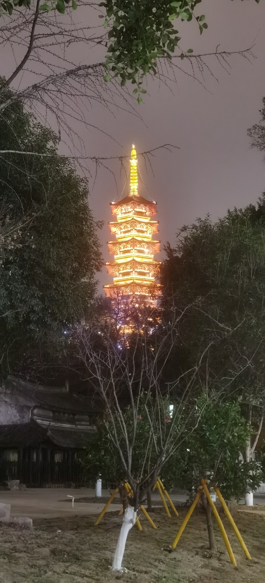 妙果寺猪头钟和净光塔拍摄于温州