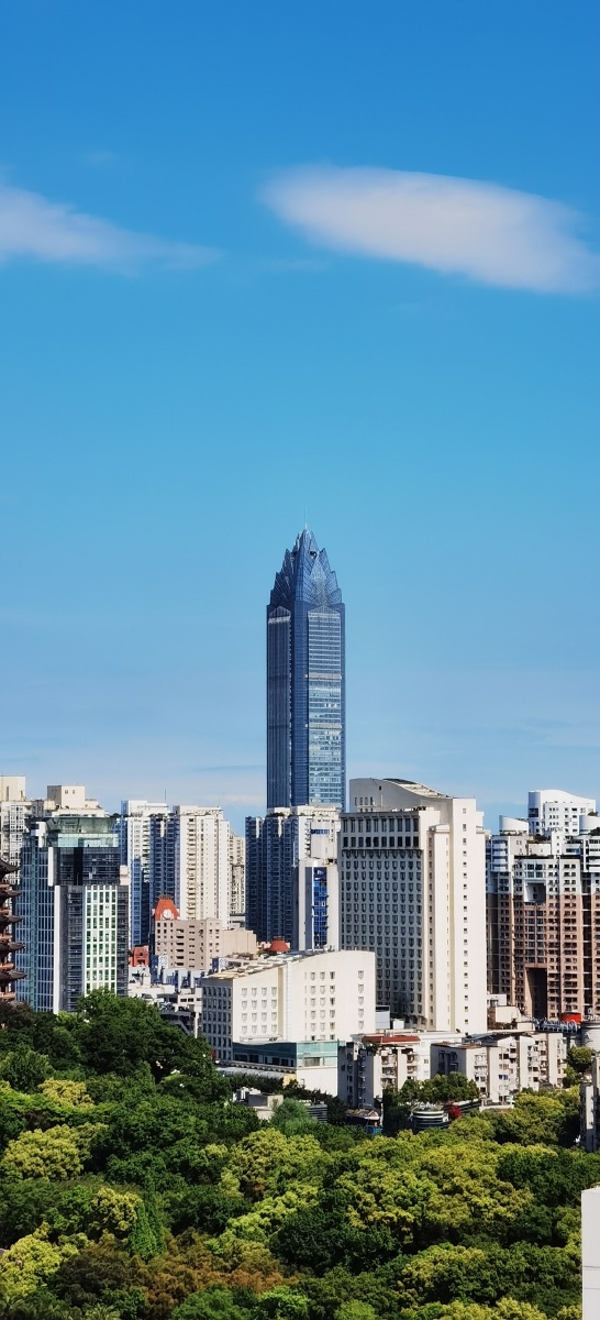 浙江第一高楼世贸大厦高330米