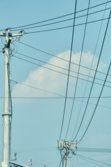 1227618