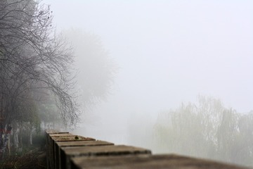 DSC_1981_
