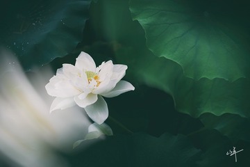 418125
