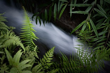 流水