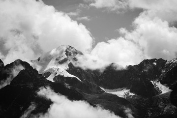 IMG_0764.jpg