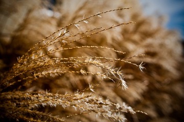 IMG_3910.JPG