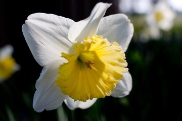 IMG_4225.jpg