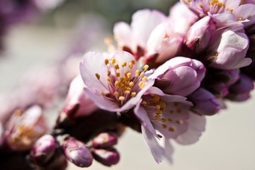 IMG_4240.jpg