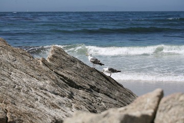 IMG_5960.JPG