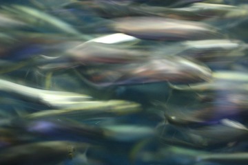 IMG_5928.JPG