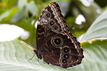P8140049
