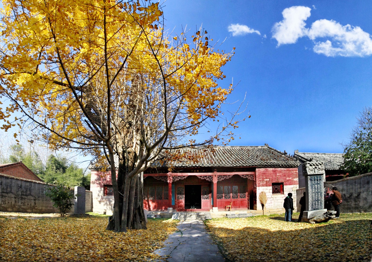 闵贤村因闵子骞而出名,又称闵贤集,闵子集,古称闵子乡,有