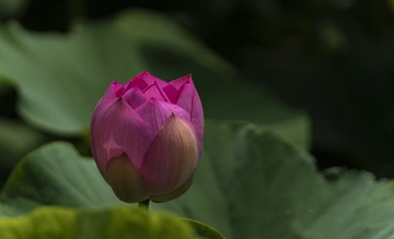 349872
