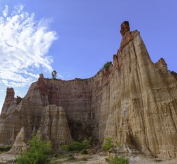 _DSC0613