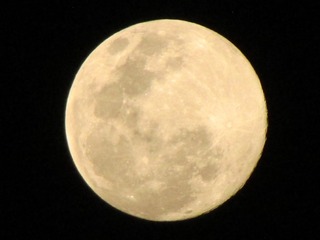7153368