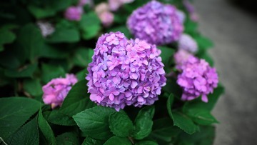 B891634C-FED0-4F43-B158-43188838927A/L0/001
