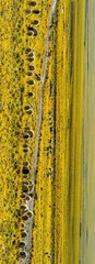 1740255