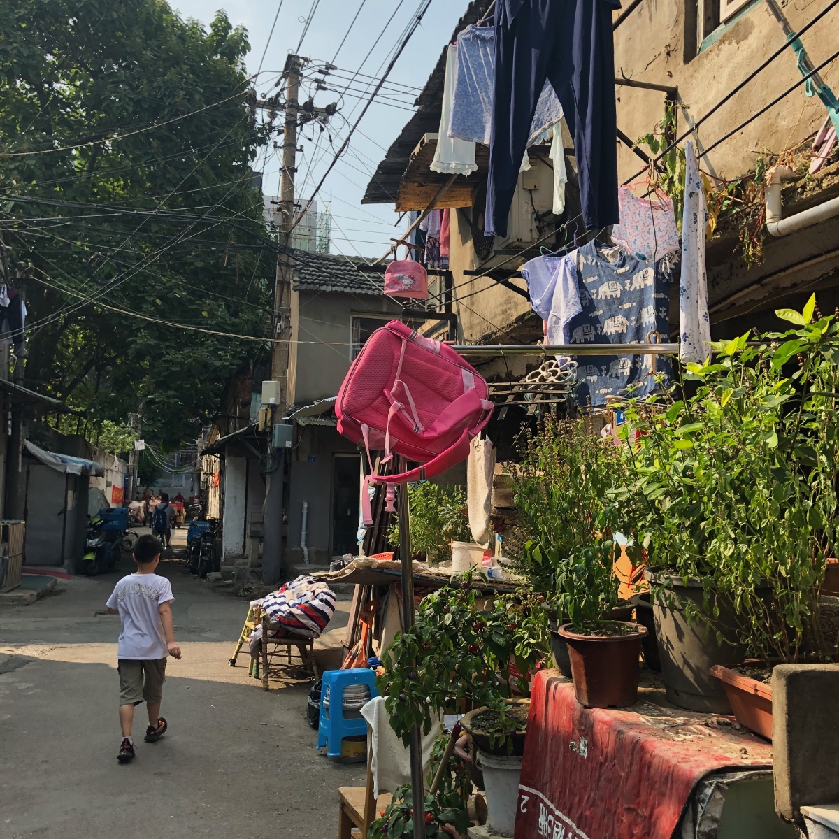 在南京的小弄堂里