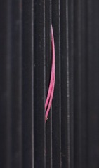 2561362