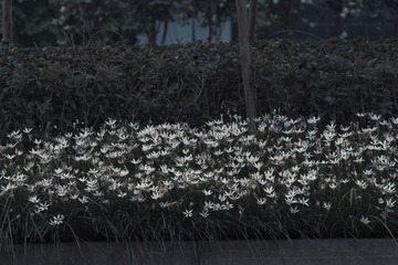 099C6A6D-07C2-4520-A4BE-EDA4A5EF20E6/L0/001