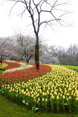 9A78030C-43CA-41C2-B7B7-D0FFEB60F2D5