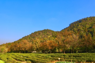 9A1B2D58-ED49-46DB-A356-F53F0D19D525