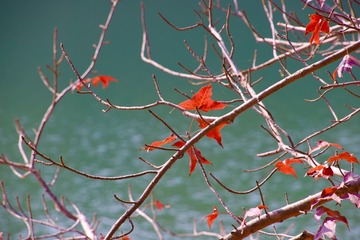 65365959-0CCC-4343-A7F6-32A01AB248FA
