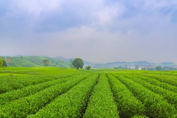 1661B730-3D84-49DB-84A9-1BD59402FDC3