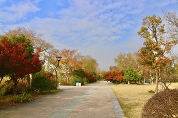 4BB1A86F-6950-4B05-8EAF-8F279BB007EA