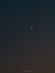 04103F12-52FC-4D36-AC53-F694F96C126B/L0/001