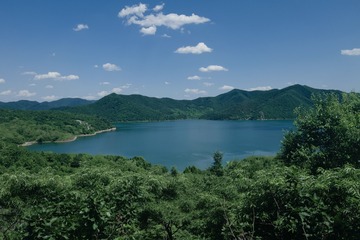 76A94E50-47BB-43C8-8F2D-E0069BB16B55/L0/001