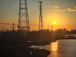 1000017685